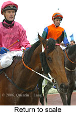 Return to scale (16492 bytes)