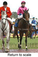 Return to scale (16492 bytes)