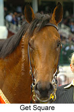 Get Square (16193 bytes)