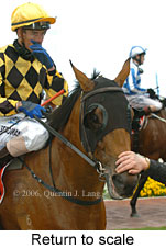 Return to scale (16492 bytes)