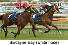 Biscayne Bay (16193 bytes)