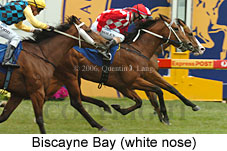 Biscayne Bay (16193 bytes)