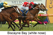 Biscayne Bay (16193 bytes)