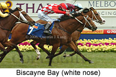 Biscayne Bay (16193 bytes)