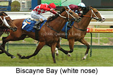 Biscayne Bay (16193 bytes)