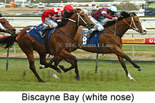 Biscayne Bay (16193 bytes)