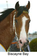 Biscayne Bay (16193 bytes)