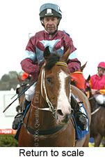 Return to scale (16492 bytes)