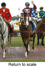 Return to scale (16492 bytes)