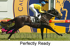 Perfectly Ready (16193 bytes)