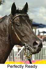 Perfectly Ready (16193 bytes)