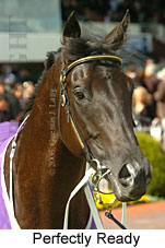 Perfectly Ready (16193 bytes)