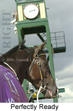 Perfectly Ready (16193 bytes)