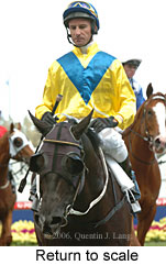 Return to scale (16492 bytes)