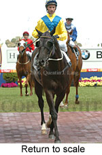 Return to scale (16492 bytes)