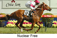 Nuclear Free (16193 bytes)