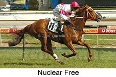 Nuclear Free (16193 bytes)