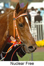 Nuclear Free (16193 bytes)