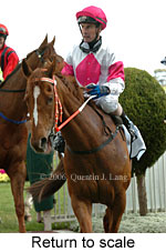 Return to scale (16492 bytes)