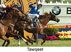 Tawqeet (16193 bytes)