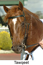 Tawqeet (16193 bytes)