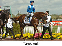 Tawqeet (16193 bytes)