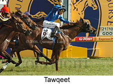 Tawqeet (16193 bytes)