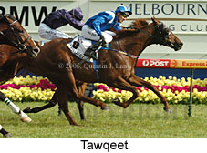 Tawqeet (16193 bytes)