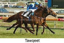 Tawqeet (16193 bytes)