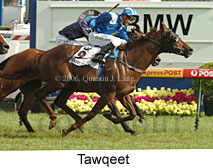 Tawqeet (16193 bytes)