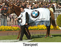 Tawqeet (16193 bytes)