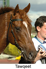 Tawqeet (16193 bytes)