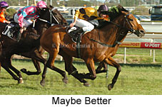 Maybe Better (16193 bytes)