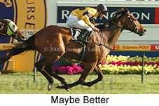 Maybe Better (16193 bytes)