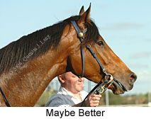 Maybe Better (16193 bytes)