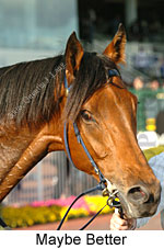 Maybe Better (16193 bytes)