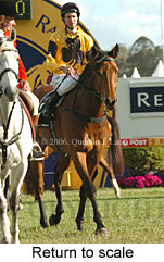 Return to scale (16492 bytes)