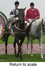 Return to scale (13923 bytes)