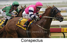 Conspectus (13850 bytes)