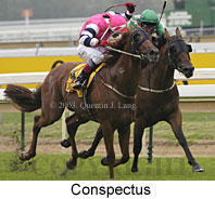 Conspectus (14647 bytes)