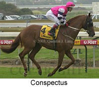 Conspectus (13410 bytes)