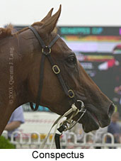 Conspectus (11055 bytes)