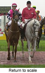 Return to scale (14449 bytes)