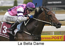 La Bella Dame (14646 bytes)