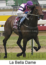 La Bella Dame (13903 bytes)