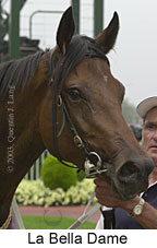 La Bella Dame (10340 bytes)