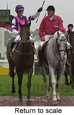 Return to scale (13295 bytes)