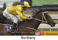 Northerly (13196 bytes)