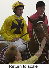 Return to scale (13397 bytes)