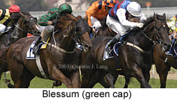 Blessum (16470 bytes)